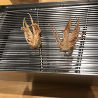 てんぷら山の上 Ginza - 