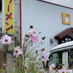 麺小屋 ここりこ - 秋桜