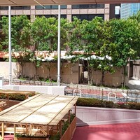 Terrace Dining TANGO - 