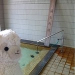 西発哺温泉ホテル - 内観写真:湯もみ板あります