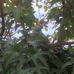 ヴィラ・アイーダ - 