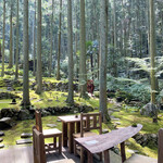 苔筵 - テラス席