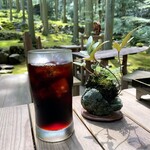 苔筵 - アイスコーヒー 400円