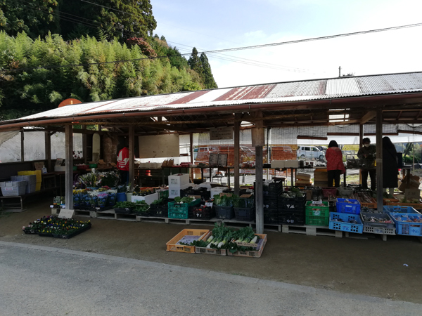 一部解体工事始まる 宮崎市の青空ショッピングセンター空き店舗