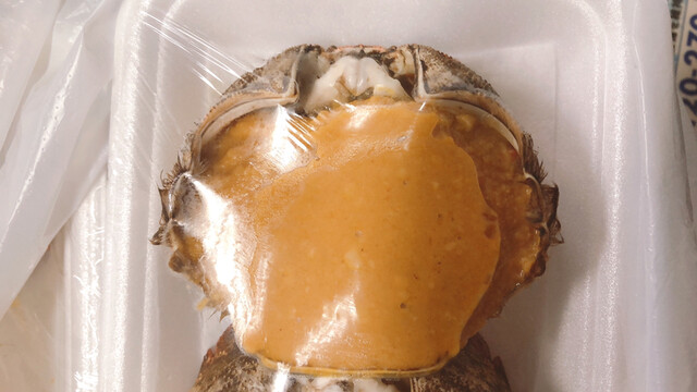 目黒魚店 - 富野（その他）の写真