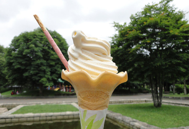 ののむら - 西帯広（弁当）の写真