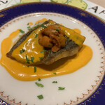 クチーナ オルセッティーナ - 