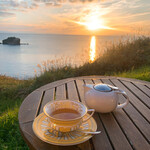 宮越屋珈琲 ムテキロウ - 