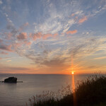 宮越屋珈琲 ムテキロウ - 