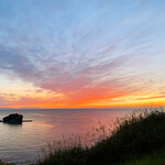 宮越屋珈琲 ムテキロウ - 