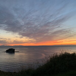 宮越屋珈琲 ムテキロウ - 