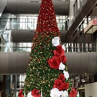 ビュッフェ＆カフェレストラン ナイト＆デイ - 