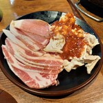 大衆焼肉ホルモン 溝の口 ひゃくてん - 