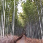 大河内山荘 - 竹林の小径