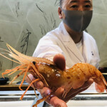 能登湾産のボタン海老　赤シャリ