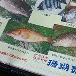 珊瑚礁 - メニューではありません。