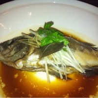 銀座 飛雁閣 - 蒸し魚