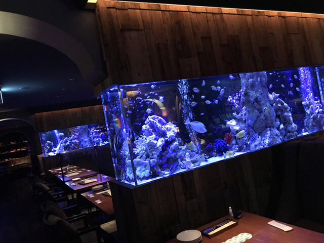 By Luna アクアリウム 魚イタリアン心斎橋ライム 大阪難波 ダイニングバー 食べログ By Luna アクアリウム 魚イタリアン心斎橋ライム 大阪難波 ダイニングバー 食べログ