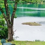 道の駅　いりひろせ - お店の回りを撮影です(7/23UP)