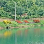 道の駅　いりひろせ - お店の回りを撮影です⑮(7/23UP)