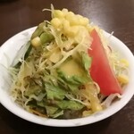 Ganjisugawa - 付け合せのサラダ