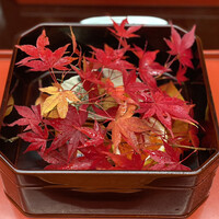 本湖月 -  本湖月 -