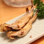 よこちょう - ししゃも