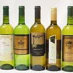 ピッツェリア ピッキ - ソムリエ厳選イタリアワイン