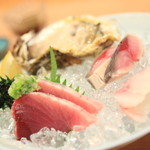 新日本料理おぶね - 徳島の岩牡蠣、鰹、しめ鯖、鯛