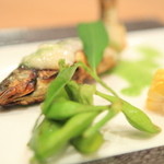 新日本料理おぶね - 天然鮎の塩焼きを白子と蓼の葉ソースで