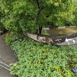 せきざわ - 信州小布施　せきざわ　外観