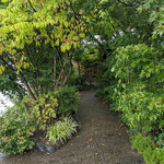 せきざわ - 信州小布施　せきざわ　外観