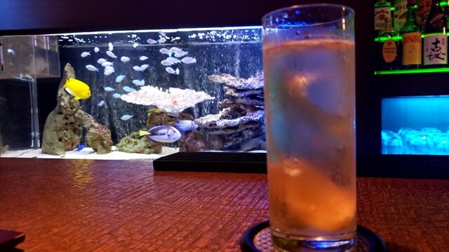 アクシア - 秋田（バー）の写真