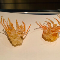 日本料理 「さくら」   ヒルトン東京お台場 - 