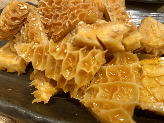 炭火焼肉 いっちゃん 石津北 焼肉 食べログ