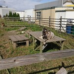 風と手と土 - 