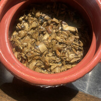 デンクシフロリ - 