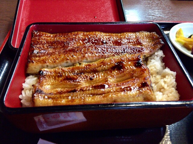 うなぎ 日本料理 ゑびす家 えびすや 柴又 うなぎ 食べログ うなぎ 日本料理 ゑびす家 えびすや 柴又 うなぎ 食べログ