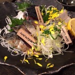 とろさば料理専門店　SABAR - 