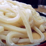 だるまや - 2009年4月　うどんアップ