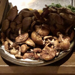 ろっかん - きのこ