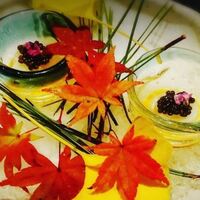 いか素麺 キャビアのせ