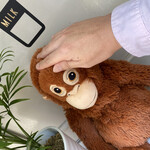 バナナジュース専門店 877 - その他写真:こんにちは(ง ´͈౪`͈)ว