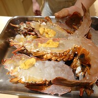 新ばし 星野 - 