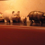 ローブリュー - イベリコ豚とバスク豚？