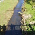 天ぷら　若杉 - 青田川。