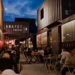 将軍ホルモン - 