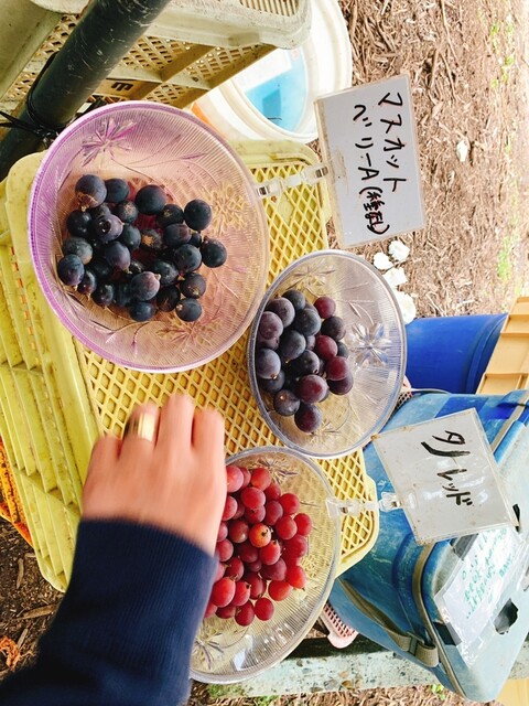 浅間園 笛吹市その他 その他 食べログ 浅間園 笛吹市その他 その他 食べログ