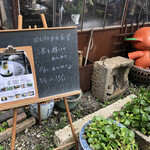 オクトパ食堂 - 