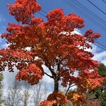 Hamburger Steak Senmon Ten IZUTSUYA